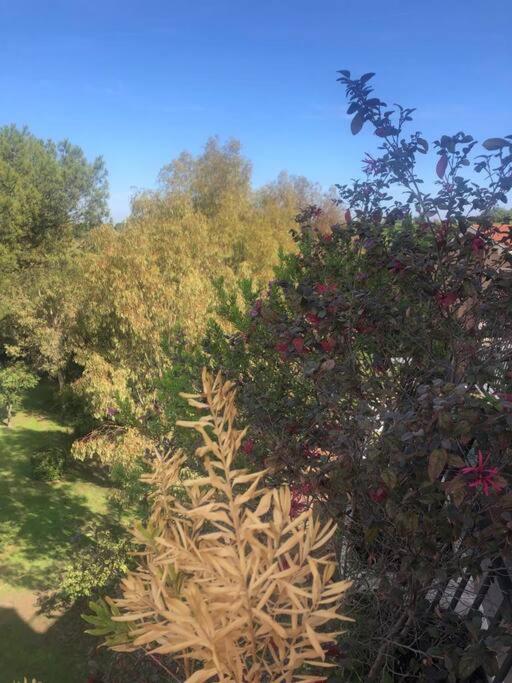 罗马Casa Incantevole Con Vista Parco Appia Antica别墅 外观 照片