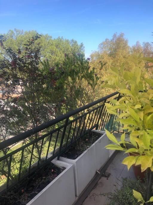 罗马Casa Incantevole Con Vista Parco Appia Antica别墅 外观 照片